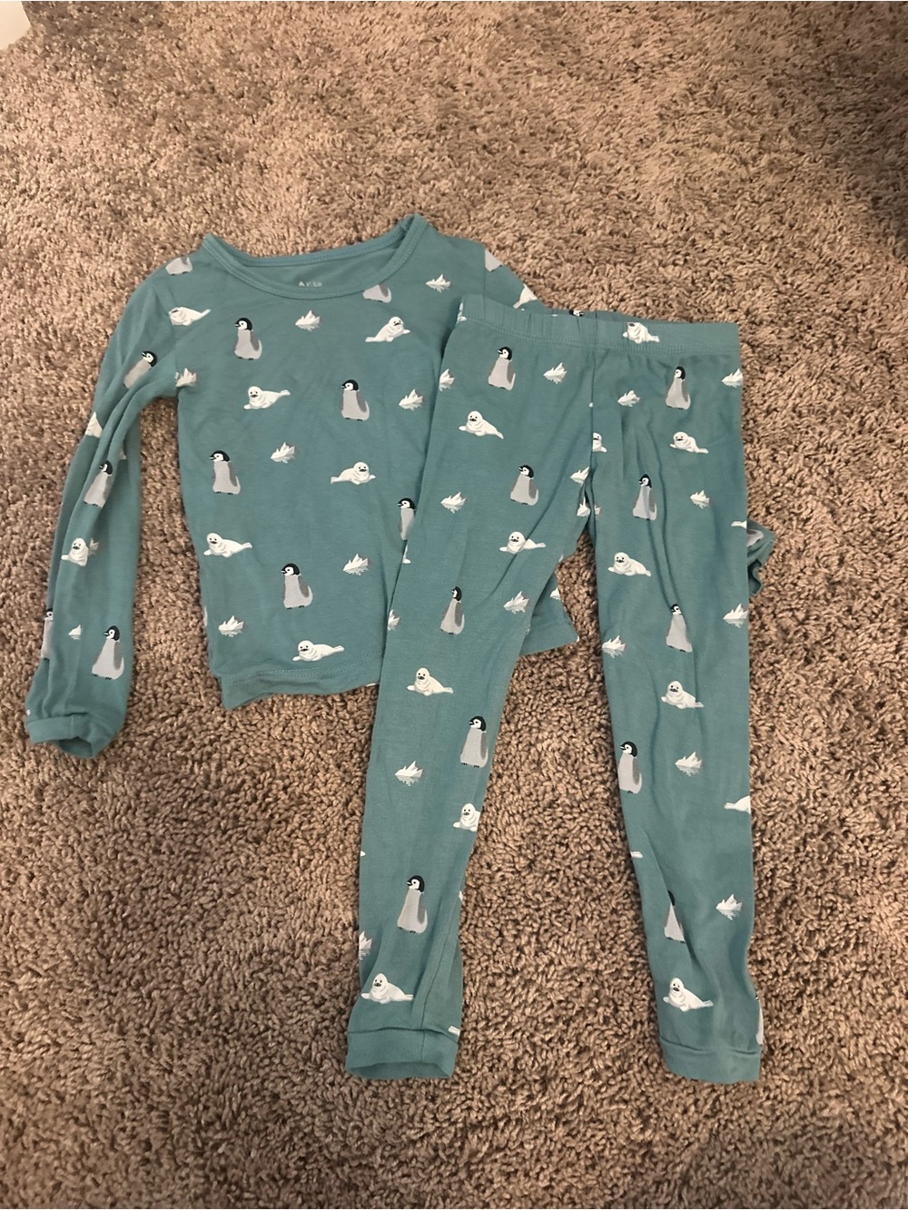 Kyte Baby Cove Antarctica LS PJs